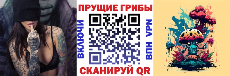 Галлюциногенные грибы Cubensis  где найти наркотики  Бежецк 
